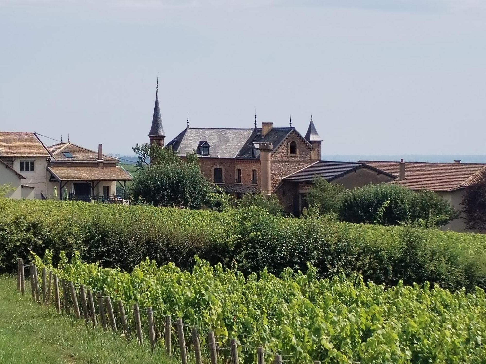 Le Petit Chateau De Sathonat - Horizon Paradis Saint-Amour-Bellevue Εξωτερικό φωτογραφία
